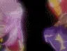 Utena and Anthy