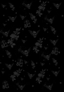 skulls