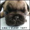 Sleep