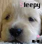 Sleepy