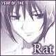 Year of the Rat