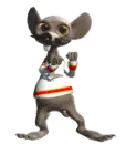Rat