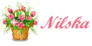 nilska