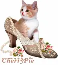 Cute Kitty with Shoe