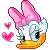 daisy