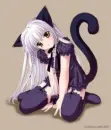 kitten anime