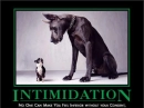 intimidation