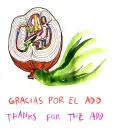 gracias