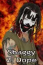 Shaggy 2 Dope
