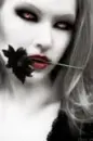 vamplady 