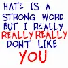 Hate is A Strong Word