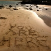 you are here