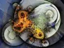 Fractal