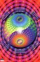 Yin-Yang