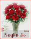 Roses for a dear friend.. congrat's :) 