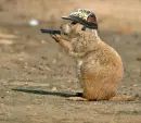 Born2kill