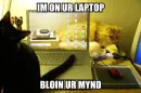 Bloin your mind