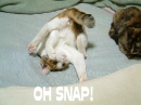 Oh snap!