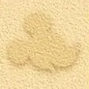 Mickey mouse_2