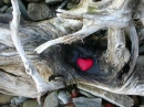 My Old Red Heart