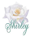 WHITE ROSE WITH SHIRLEY NAME