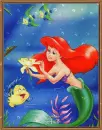 bubble ariel