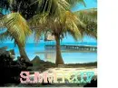 summer