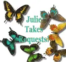 Julie Takes Requests