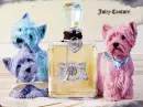Juicy Couture with Dogs