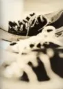Converse in a row.