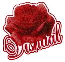 RED ROSE WITH VISHAAL NAME