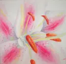 A Lilly