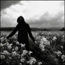 dark field
