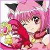 tokyo mew mew