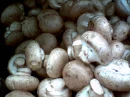 Mushrooms