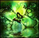 green butterfly with black background