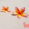 summer time!