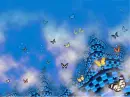 mariposas