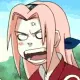 sakura