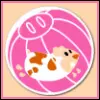 Hamster