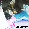 So Sleepy