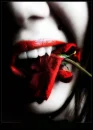 Bloodrose