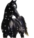 Glitter Horse