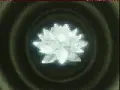 Usagi's Star Seed from Sailor Moon Stars