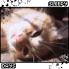 Sleepy
