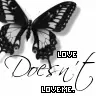 love doesnt love me
