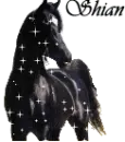 Shian Black Glitter Horse 