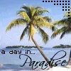 paradise