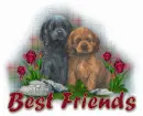 best friend puppies