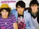jonas brothers